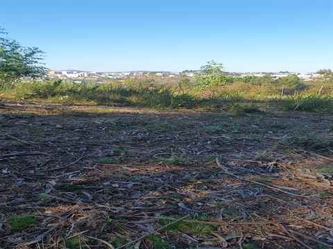 Terreno